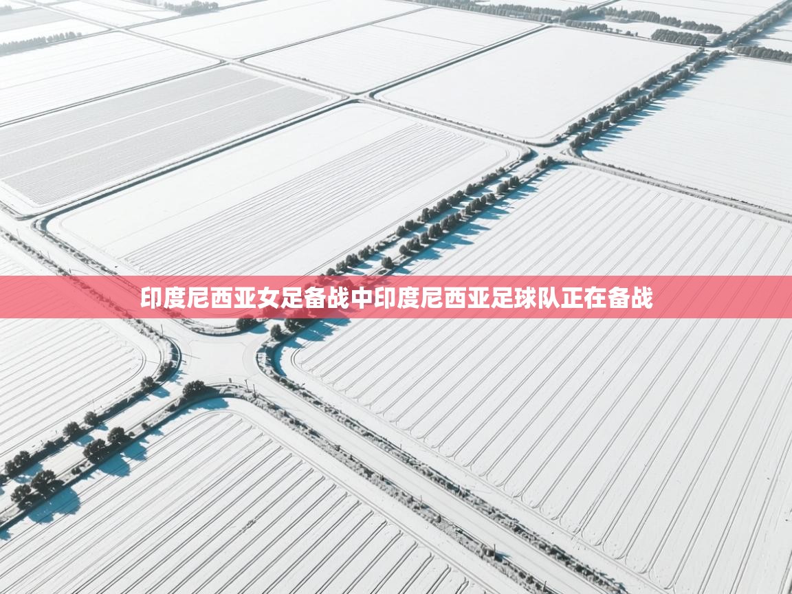 印度尼西亚女足备战中印度尼西亚足球队正在备战  第1张